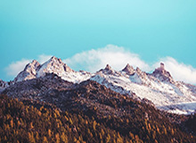 PG模拟器：引领游戏模拟新纪元，沉浸感从这里开始